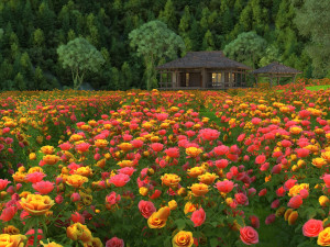 flower garden 3D Model
