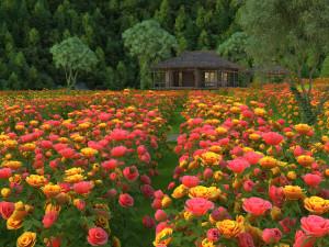 flower garden Model 3D