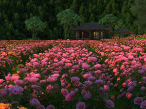 flower garden 3D Model