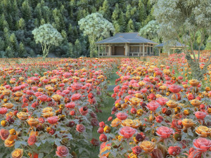 flower garden Model 3D