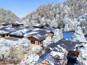 snow scene 3D Model