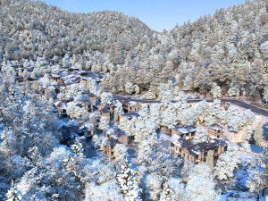 snow scene Modelo 3D