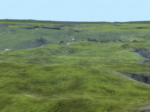 primitive jungle 3Dモデル