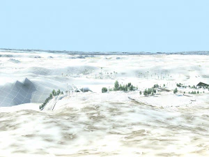 primitive jungle 3D Model