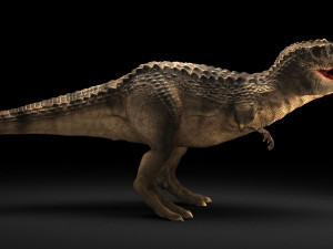 dinosaur 3Dモデル