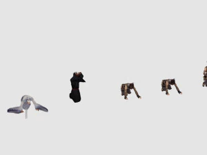ancient people 3D Model