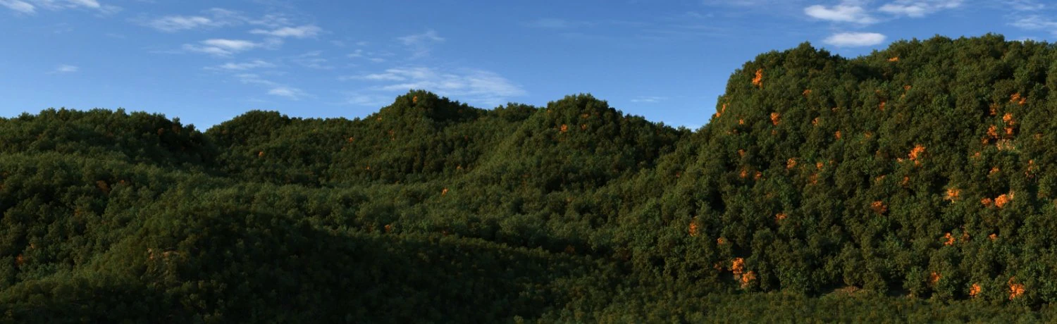 forest park 3D Model .c4d .max .obj .3ds .fbx .stl .blend 