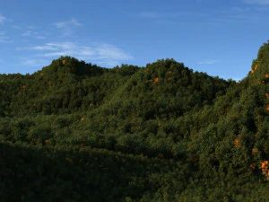 forest park 3D Model