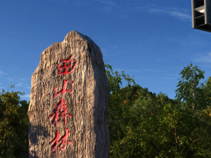 forest park 3D 모델