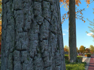 budowa miasta Model 3D