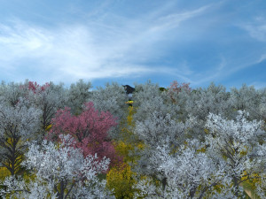 town square 3Dモデル