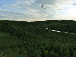 wetlands 3D Model