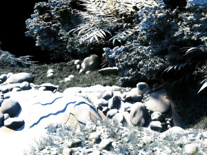 creek 3D Model