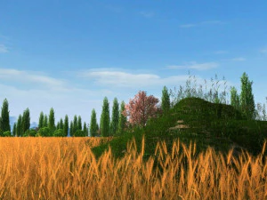 vahşi doğa 3D Model