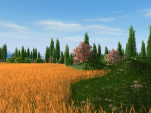 wilderness 3D 模型