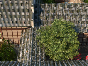 ancient town 3Dモデル