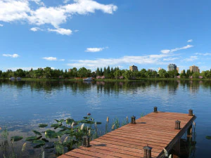 city lake view 3D Model