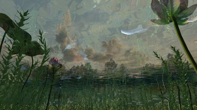 underwater view 3D 模型 .c4d .max .obj .3ds .fbx .stl .blend 