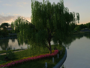 city lake view 3D Model