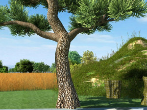 wilderness 3Dモデル