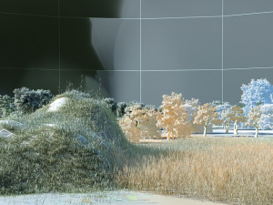 wilderness 3Dモデル