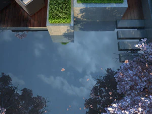 पंखुड़ियाँ उड़ती हैं 3D मॉडल