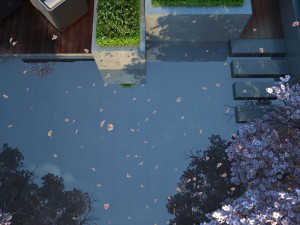 petals fly 3Dモデル