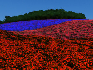 air garden Modèle 3D