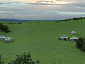 grassland Modelo 3D