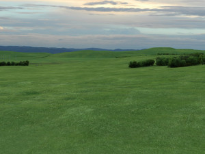 grassland Model 3D