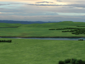 grassland Model 3D