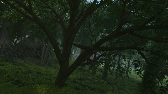 forest 3D 模型 .c4d .max .obj .3ds .fbx .stl .blend 