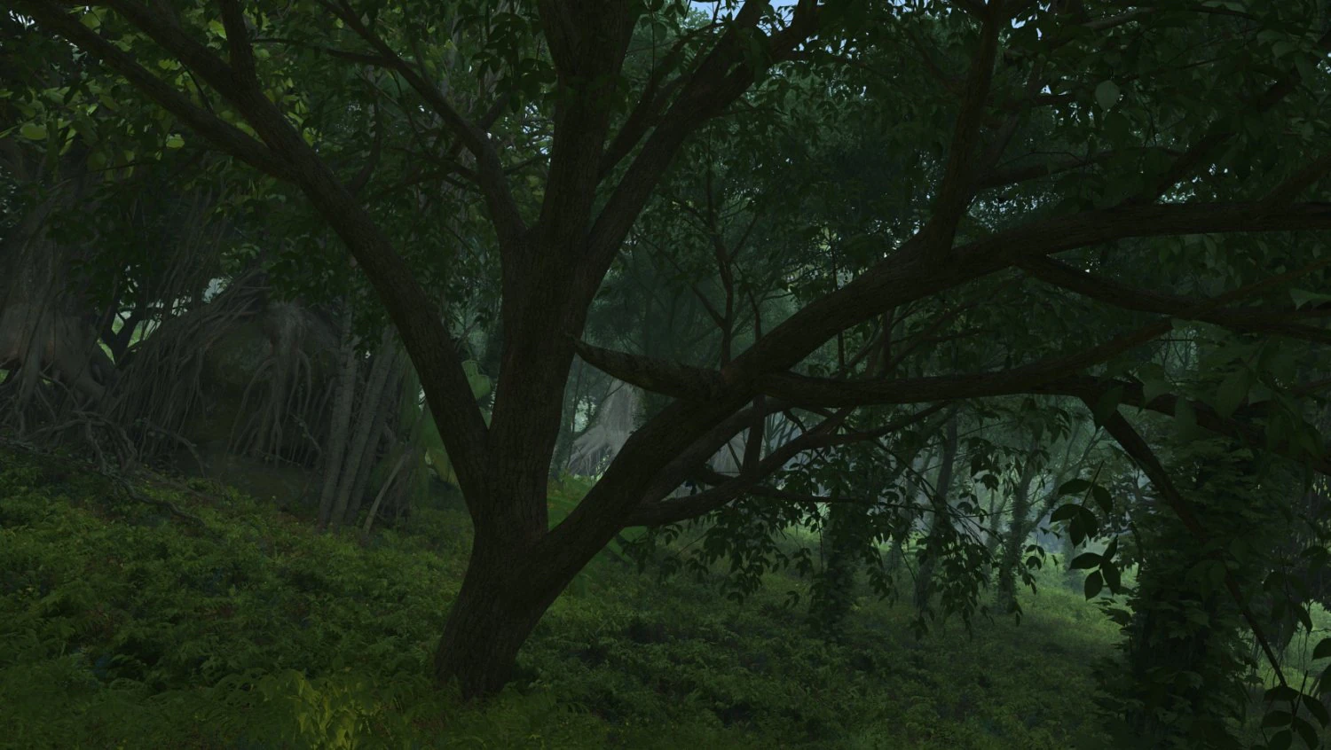 forest 3D Model .c4d .max .obj .3ds .fbx .stl .blend 