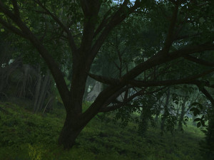 forest Modelo 3D