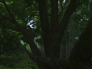 forest 3D 模型