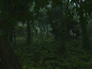 forest 3D 模型