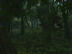 forest 3D Model