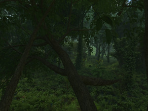 forest 3D 模型