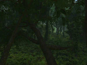 forest 3D Model