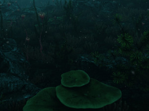 seabed 3Dモデル