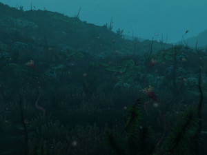 seabed Model 3D