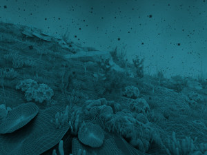seabed Model 3D
