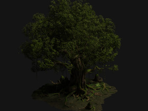 old trees 3D Model