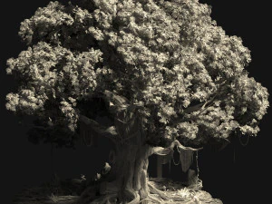 old trees 3D Model