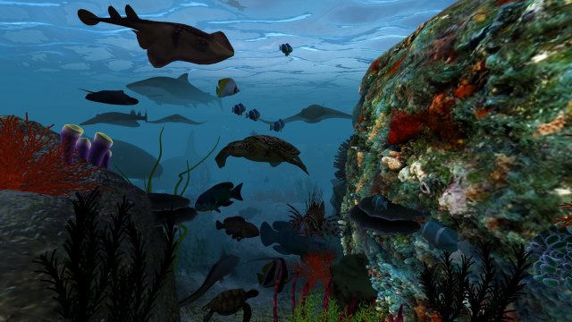 seabed 3D Model .c4d .max .obj .3ds .fbx .stl .blend 