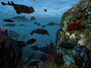 deniz yatağı 3D Model