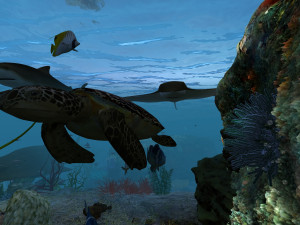 seabed 3D Model