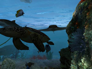 seabed 3D Model