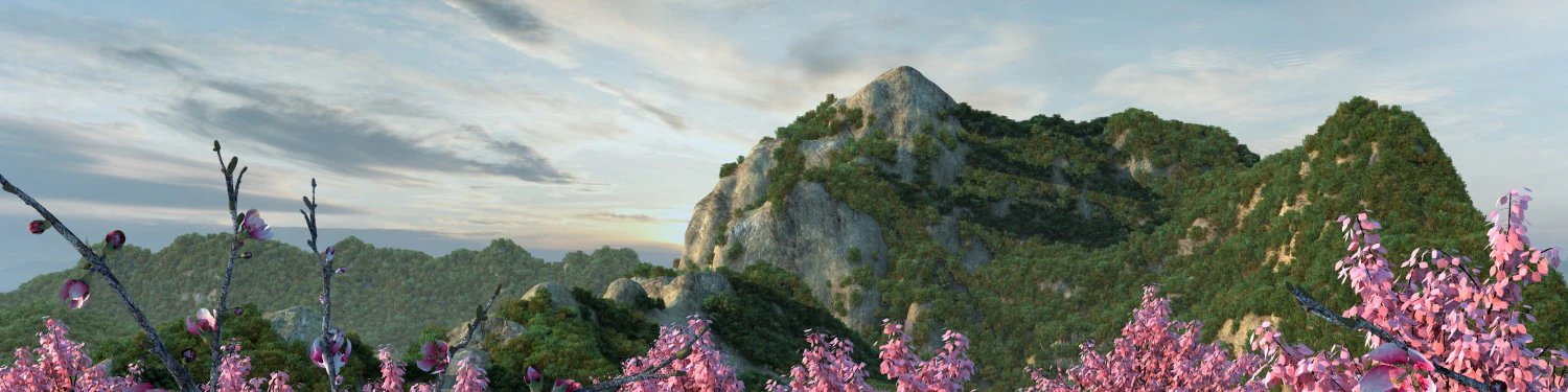 lotus mountain 3D Model .c4d .max .obj .3ds .fbx .stl .blend 
