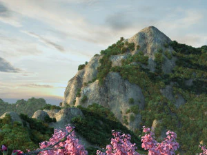 g&oacute;ra lotosu Model 3D